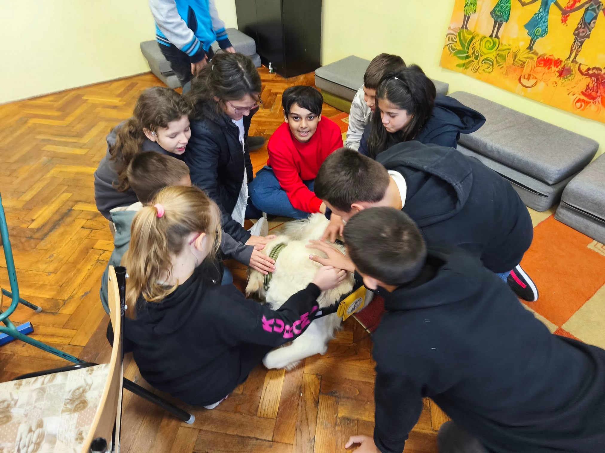 Állatvédelmi Témahét - Nebuló Általános Iskola és Gimnázium