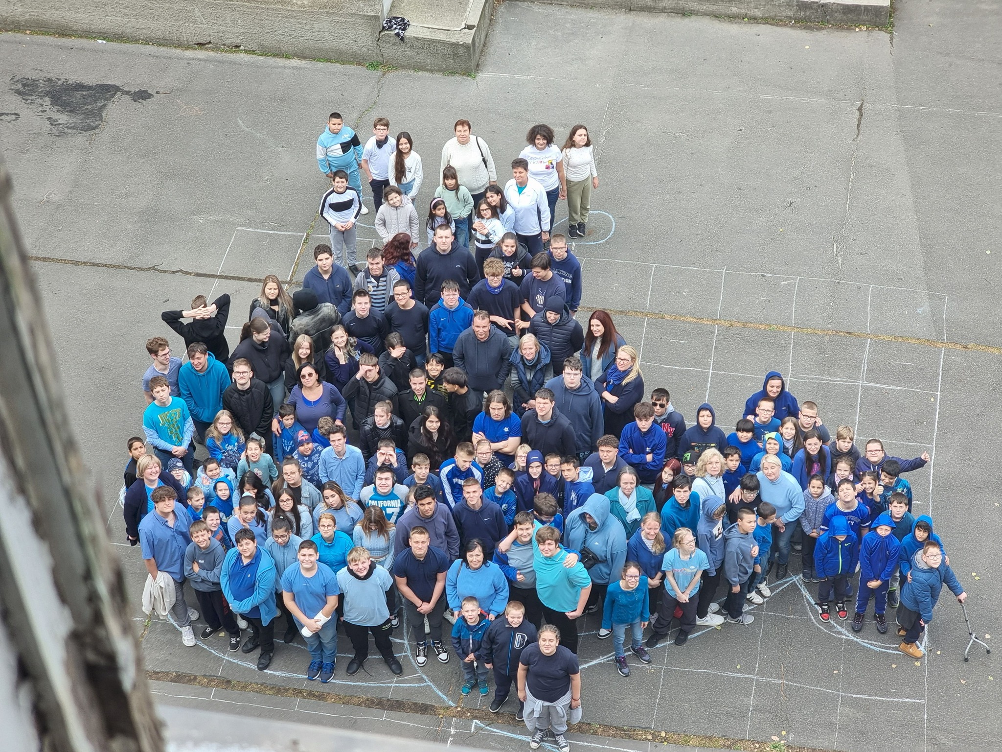 Állatok Világnapja - Nebuló Általános Iskola és Gimnázium